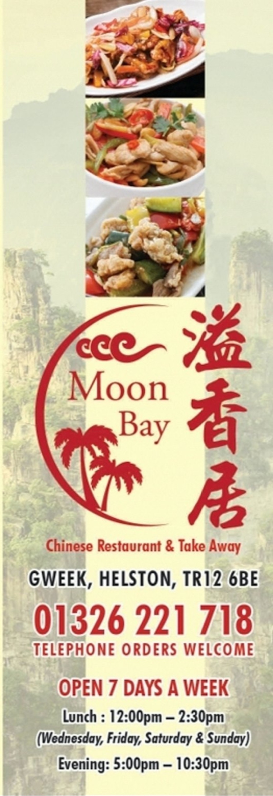 Takeaway Restaurant Menu Page - Moonbay Chinese restaurant - Helston